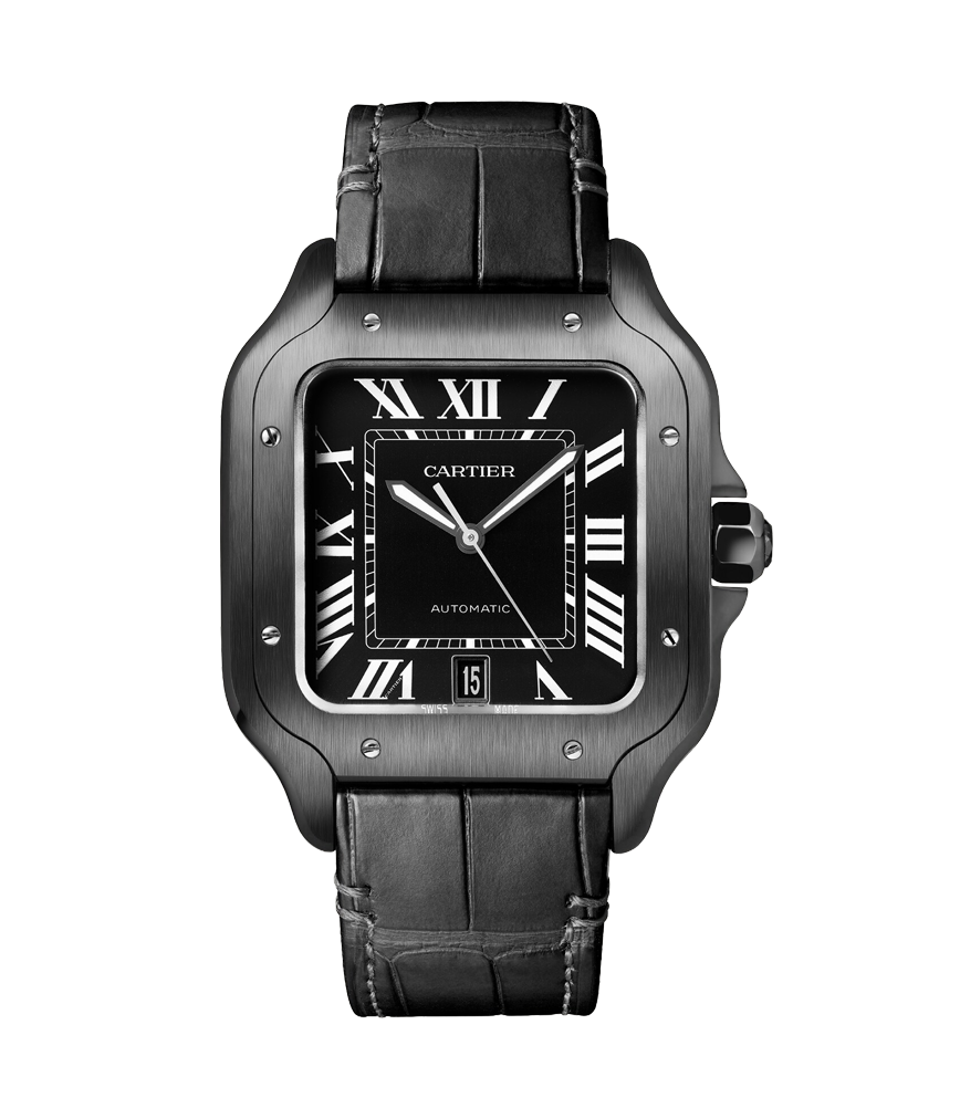 Santos de Cartier WSSA0039